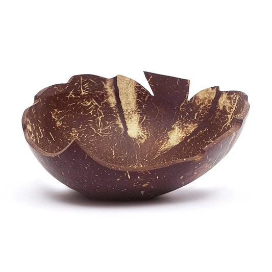 Natural Coconut Bowl