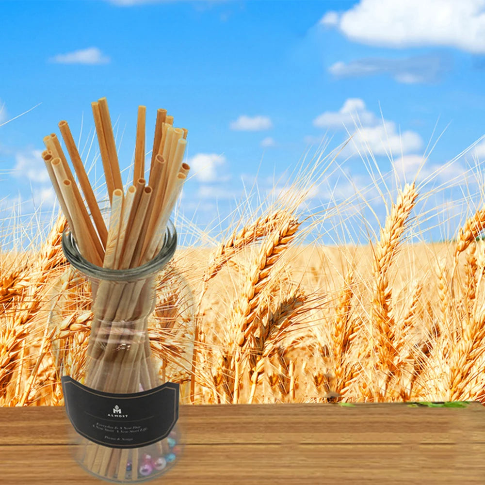 Natural Biodegradable Wheat Straws